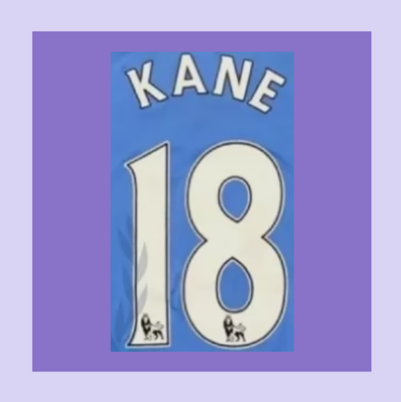 2007-2014 White Kane 18 Spurs EPL Player Size Premier League Nameset for football shirt